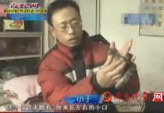 报恩蛇：男子救灵蛇一命 蛇报恩救活了...