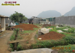 河北井陉养蛇场养蛇基地