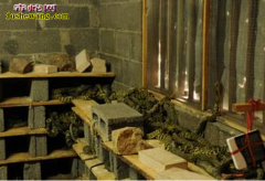 湖北武穴养蛇场养蛇基地