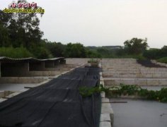 福建闽清养蛇场养蛇基地