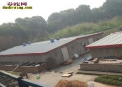 福建泉州养蛇场养蛇基地