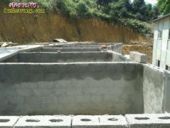 福建光泽养蛇场养蛇基地