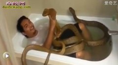 2016最作死的男子！家中与两条四米...