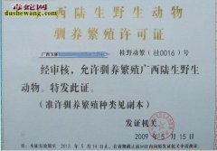 养蛇要什么手续？养蛇需要合法手续办理...