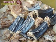 蛇肉美食：广东名菜龙虎斗