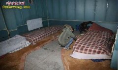 四川古蔺养蛇场养蛇基地