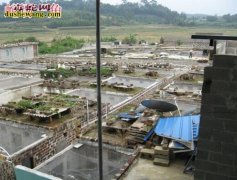 广西隆安养蛇场养蛇基地