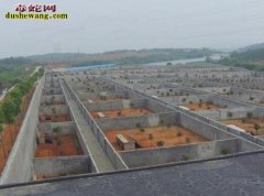 山西昔阳养蛇场养蛇基地