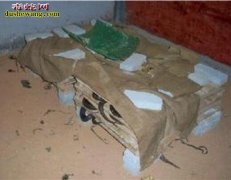 【养蛇知识】养蛇知识大全