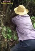 高手在民间：乡村大叔捕蛇被毒蛇咬伤自...