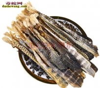 【海蛇鞭】海蛇鞭功效