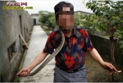 【养蛇村】中国养蛇第一村，广西养蛇第...