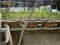 【人工养蛇】人工养蛇技术要点
