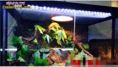 【养蛇灯】养蛇自动保温灯选价格与使用...