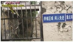 记者探访南京养蛇场 戒备森严蛇难逃脱