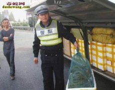 客车内藏百条蛇 心虚闯关卡被查收