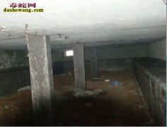 冬季养蛇：冬季种蛇饲养注意事项
