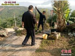 云南3米眼镜王蛇躲下水道被抓 世界上...