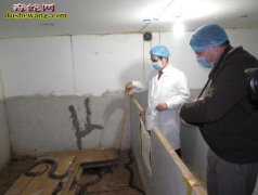 发酵床养蛇是骗人的吗 关于发酵床养蛇...