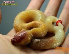 【玉雕蛇图片】玉雕蛇图片大全