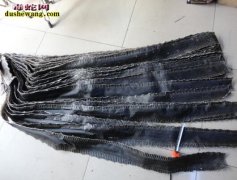 【蛇皮的价格】蛇皮多少钱一张