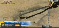 “仙人”还是“野人”陕西神木龙头现神...