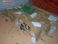 【养蛇行业存在几大问题】