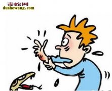 毒蛇咬伤怎么办？别盲目用嘴吸！
