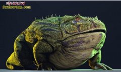 【魔鬼蛙vs恐龙】7000万年前凶猛...
