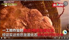 佛山南海首现7000万年前恐龙蛋 佛...