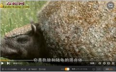 史前生物：美国南部发现史前雕齿兽甲壳...