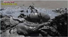 无法解释：马里亚纳神秘海沟发现生命遗...