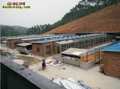 【养蛇场地】养蛇场地科学选址