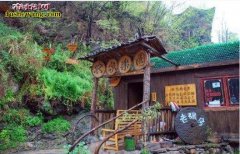 养蛇发展新思路：农家乐+观光蛇园适合...