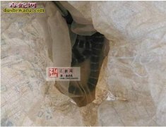 差点作死！萧山小伙不是剧毒银环蛇 半...