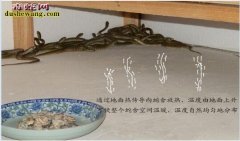 养蛇用什么保温最好？