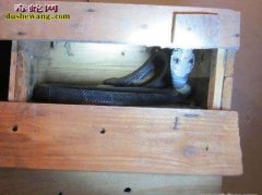养蛇笼 养蛇场蛇笼