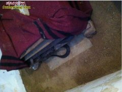 夏日炎炎：科学养蛇模式室内养蛇PK仿...
