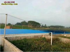 种蛇养殖 关于种蛇养殖和肉用蛇养殖的...
