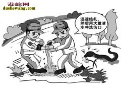 善有善报！男子撞死人逃逸躲水沟被毒蛇...