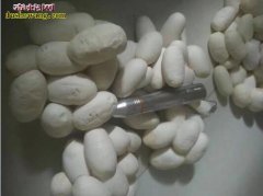 2017年8月越南水律蛇蛋价格行情