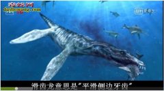 十大洪荒巨兽：并不只是传它们在世界上...