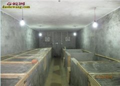 养蛇图片 各种养蛇图片大全