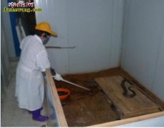 养蛇究竟温度重要还是湿度重要？