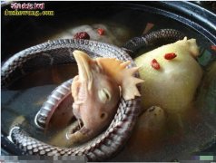 蛇肉龙凤汤：美味保健但不是人人都敢吃...