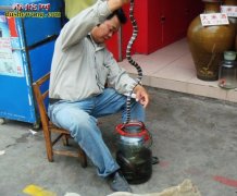 中国第一毒蛇闯入杂货店 店主吓得跳桌...