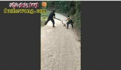 2男子怼3米长过山峰 看的人好心悸最...
