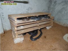 什么地方有养蛇的？想学习专业养蛇技术...