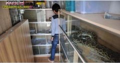 养蛇有什么迷信吗？养蛇在家养会倒霉吗...