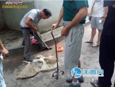 求卖蛇网站或个人代卖商品蛇